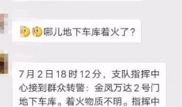 金凤万达爆料最新消息,揭秘项目进展与未来规划！